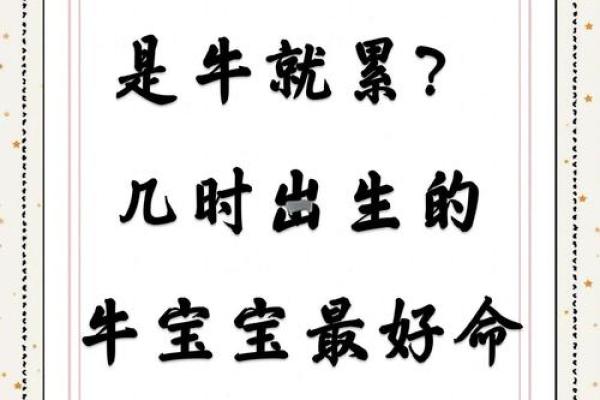 猴宝宝取名字的最佳指南