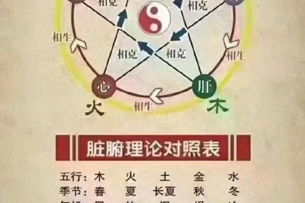 五行属什么？解读五行与命理的深刻关系