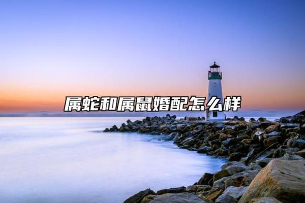属蛇女与属鼠男的相处之道
