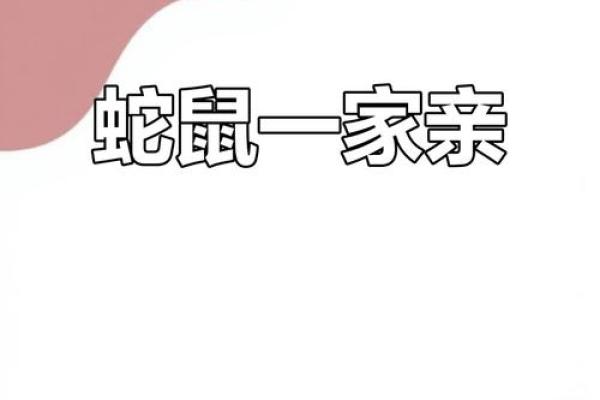 属蛇女与属鼠男的相处之道