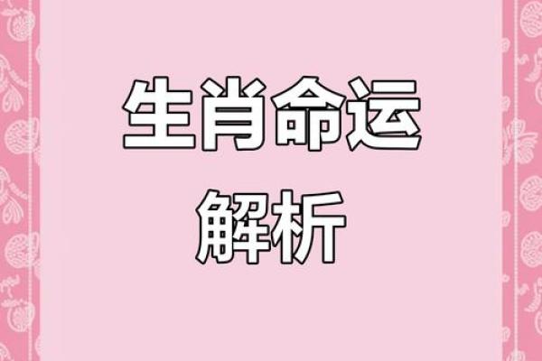 今日生肖运势揭秘：你的运势如何？