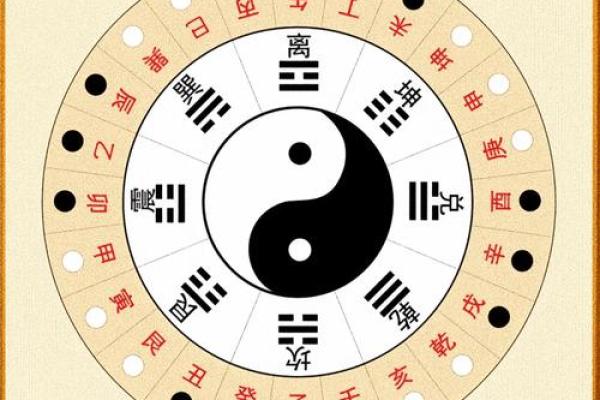 了解由字的五行属性，助你掌握命理运势