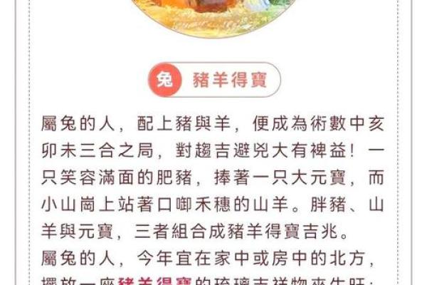 深度解读宋韶光十年运程与未来趋势