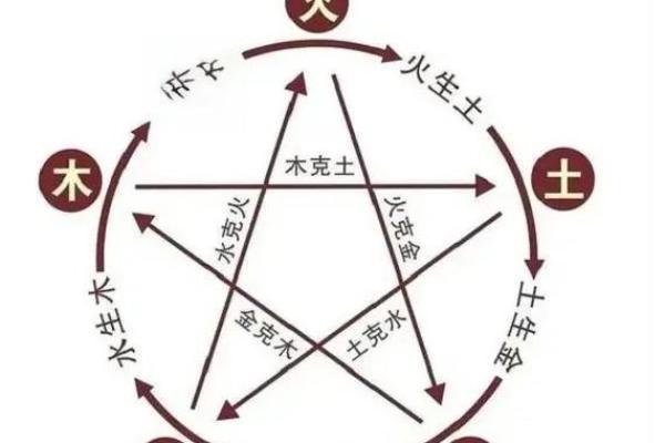 五行木的五大属性，助你理解木的力量与影响
