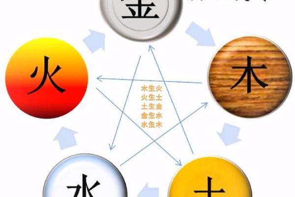 五行木的五大属性，助你理解木的力量与影响