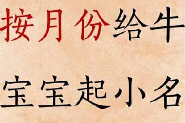 属牛男孩女孩起名建议