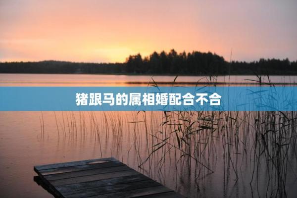 探究马与猪相配的可能性