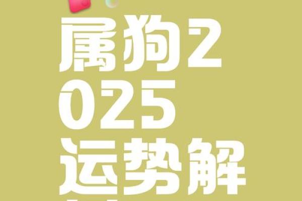 狗人运势预测：每月运程逐月解析