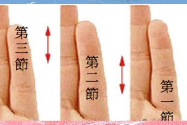 小指命运的揭示：了解小指与命运的奇妙关系