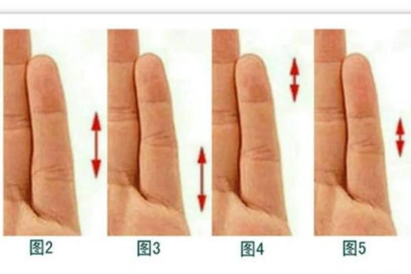 小指命运的揭示：了解小指与命运的奇妙关系