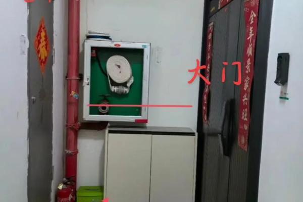 大门颜色在风水中的重要性及搭配技巧