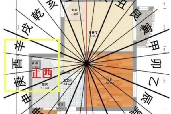 十二生肖运程全解析，掌握未来运势