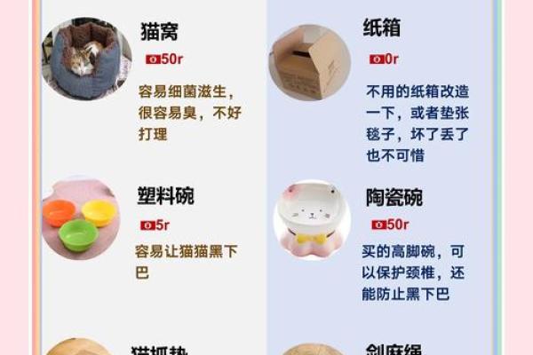 风水助力养猫招财的秘密技巧