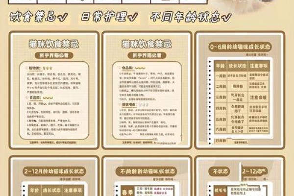 风水助力养猫招财的秘密技巧