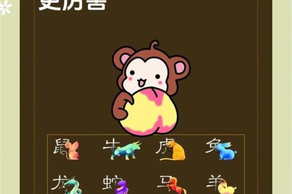 猴与猴结合的婚姻运势与性格匹配