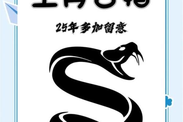 属蛇与属狗的相配程度 适合结婚吗