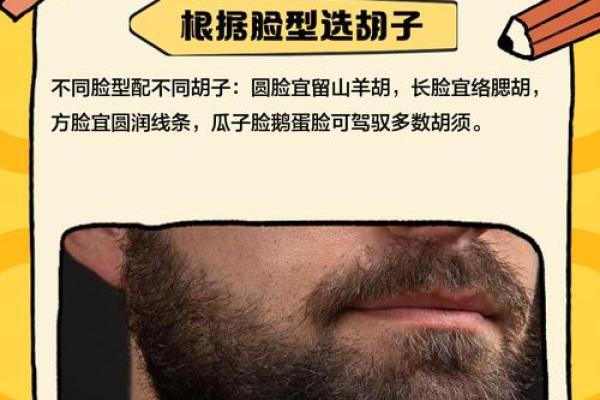 打造属于你的个性胡子名称