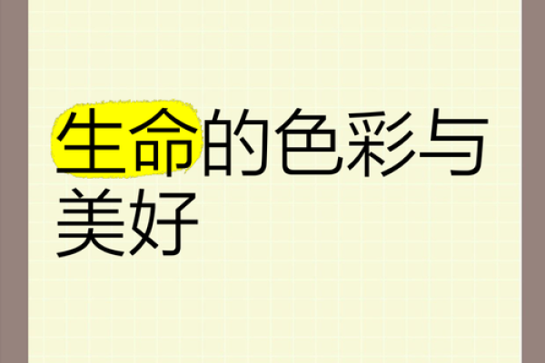 从色彩中汲取灵感，为名字注入生命力