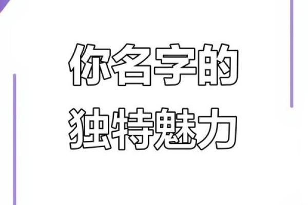 系列名字的独特魅力与市场定位