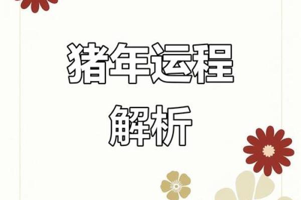 猪年运程全面解析