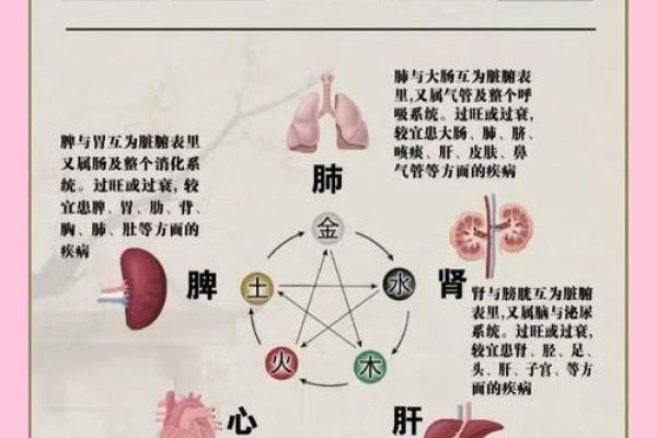 疯五行属性探秘：五行如何影响你的事业与健康