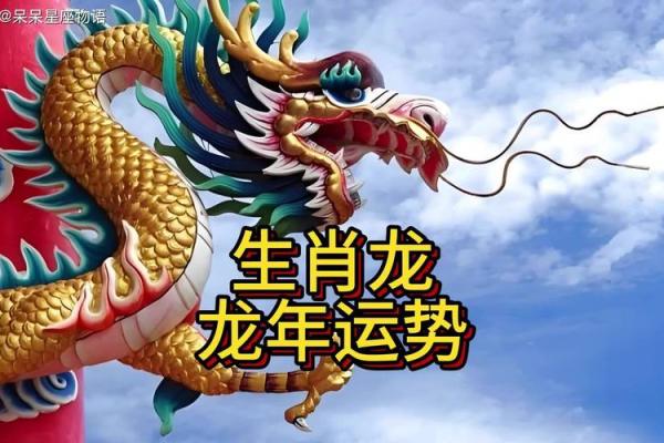属龙本命年如何追求个人梦想