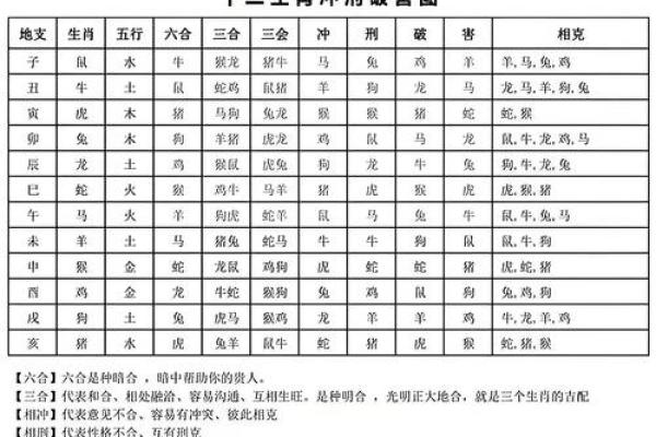 本命年属龙如何与亲友和谐相处