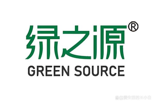 环保公司三字名称创意与灵感解析
