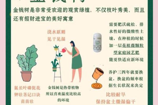 树木风水助力招财的秘诀解析