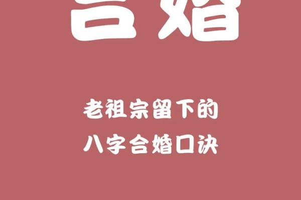 八字合婚：如何通过八字匹配找到最合适的伴侣？