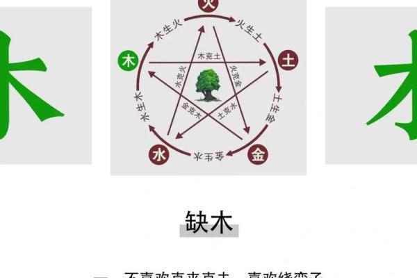 五行缺什么，揭示你的命运与运势！