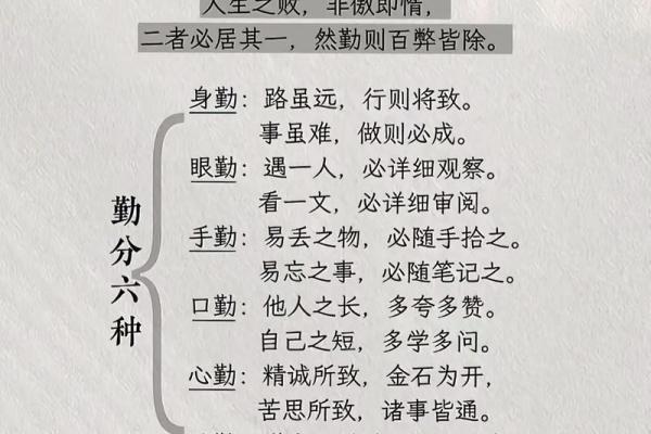勤劳命的真正含义与人生启示