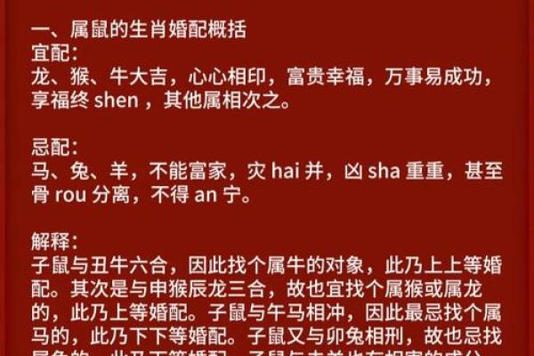 鼠与马婚姻搭配：性格与命运的完美契合