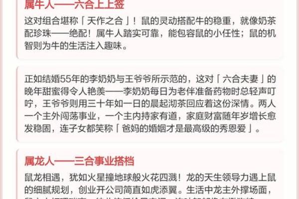 鼠与马婚姻搭配：性格与命运的完美契合