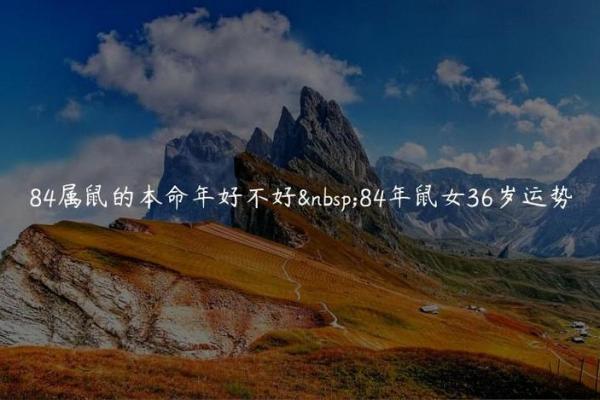 本命年鼠女的情感危机与解决办法