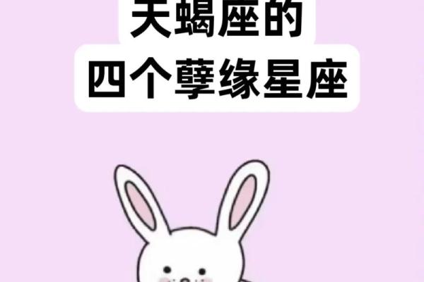 八字与星座，哪个更能影响你的命运走向