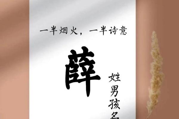 如何为薛姓宝宝起个寓意深刻的名字