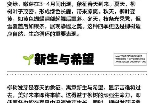 杨柳木命的优势与挑战，你了解多少
