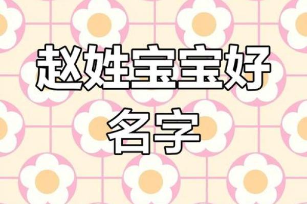 赵姓女孩名字大全及取名技巧解析