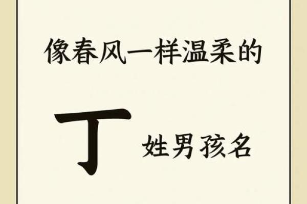 丁性宝宝起名：如何为宝宝选择一个合适的名字