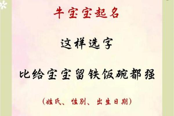 牛姓男宝宝取名的吉祥字眼推荐