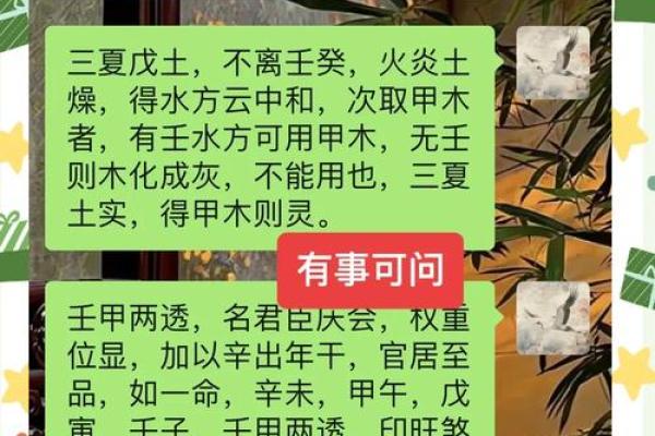 主命亡的含义及其在命理中的重要性解析