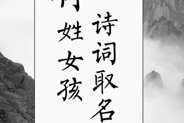 林名字的由来与寓意解读