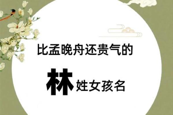 林名字的由来与寓意解读