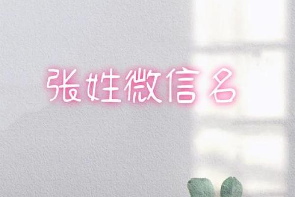 张姓男孩女孩名字大全：适合不同性格的选择