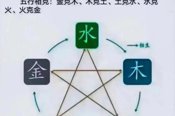 杉五行的神秘力量揭秘：如何通过五行调整提升运势？