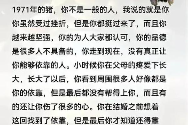 猪与猪相配婚姻的性格契合与挑战分析