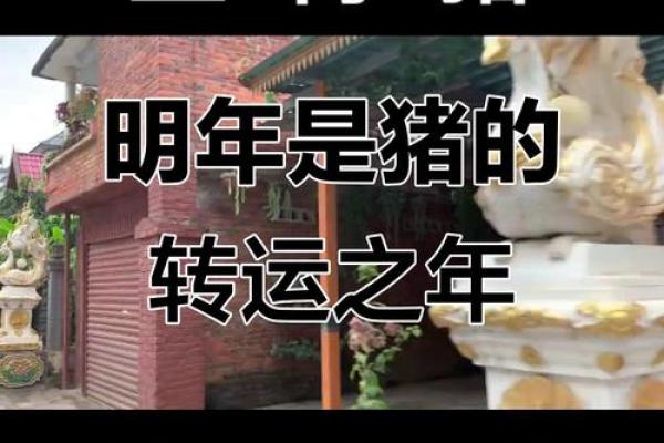猪年运势趋势与注意事项