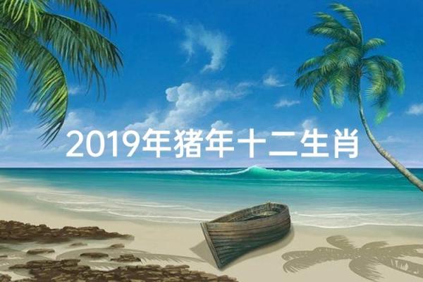 猪年运势趋势与注意事项