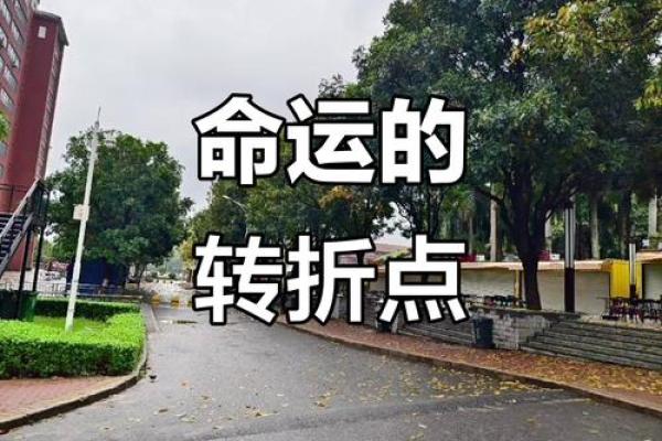 农历年，改变命运的关键时刻